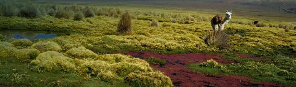 Imagen Entre Montañas