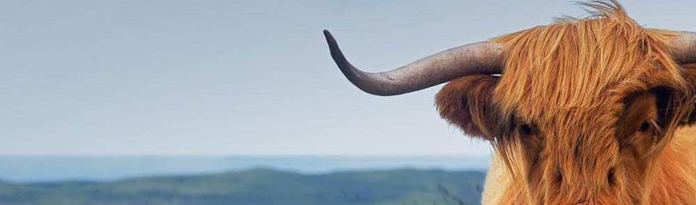 Imagen Entre Montañas